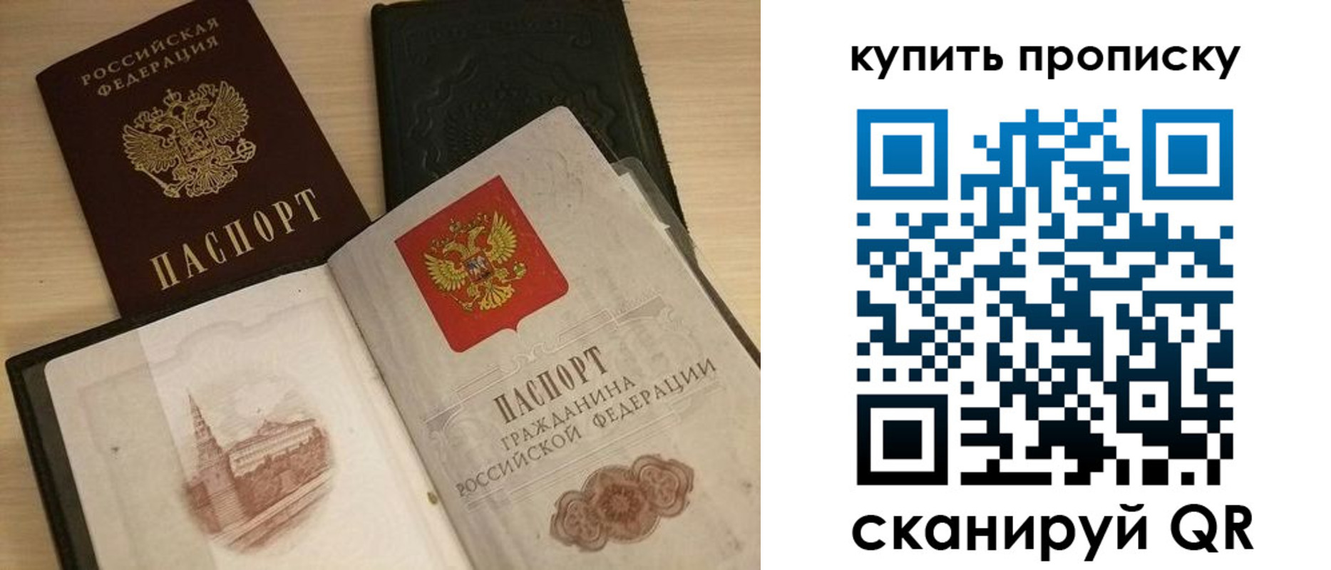 прописка гарантия в Фрязино